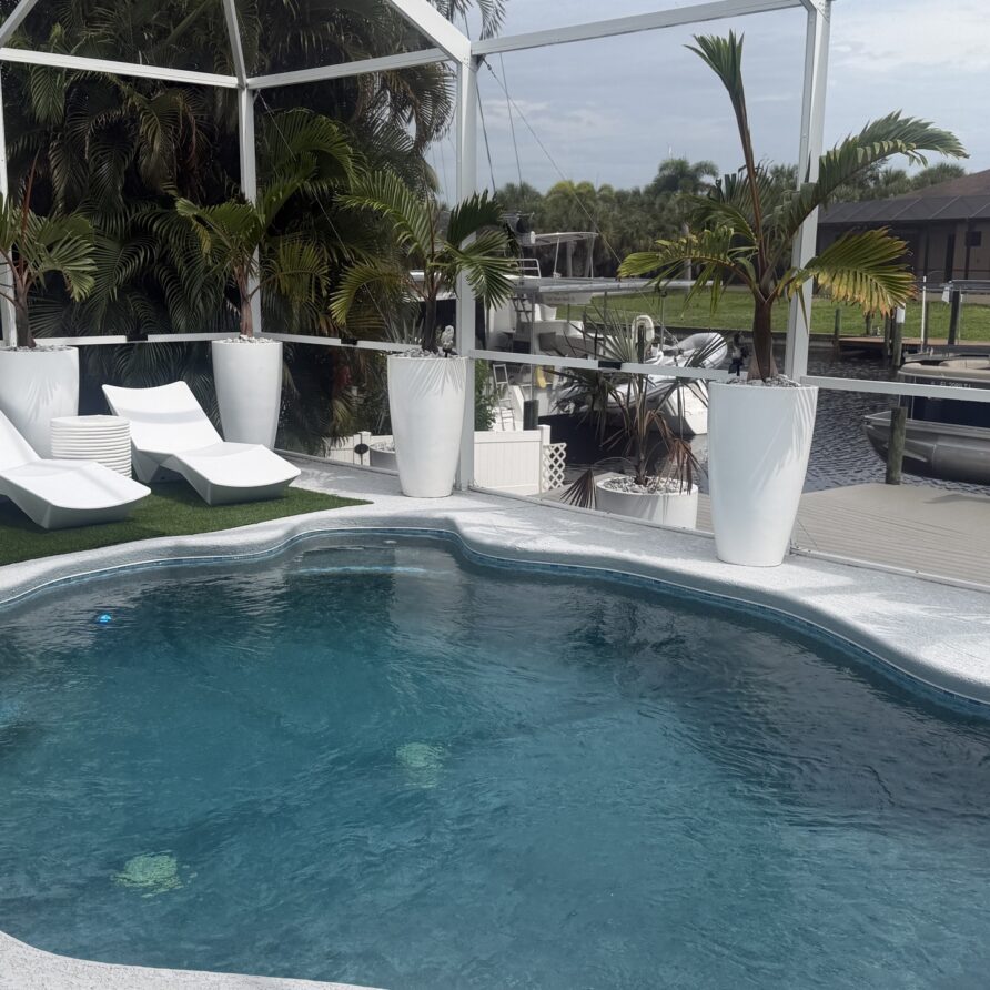 Pool deck under the screen enclosure